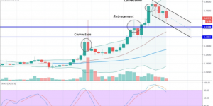 Theta币当日价格币透明监控，Theta币2021年价值最高能达到多少？