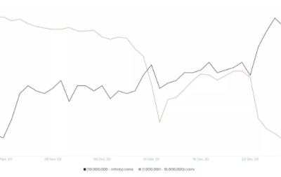 XRP瑞波币透明实时监控，XRP价格再次暴跌